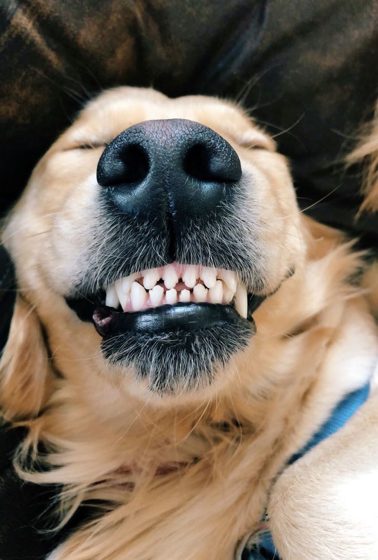 Bella loves her routine