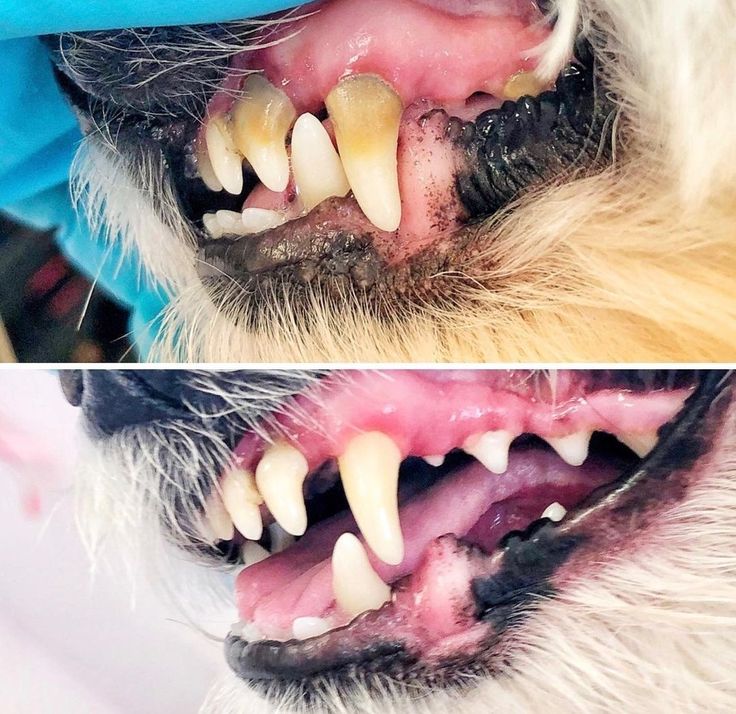 Clinically Effective