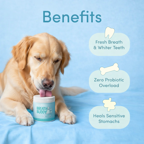 PoliFunk Breath Buddy Dental Powder