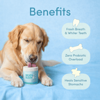 PoliFunk Breath Buddy Dental Powder